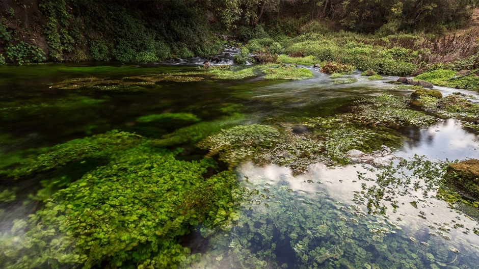 清澈唯美的自然河流风景桌面壁纸