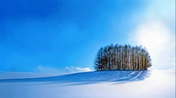 冬季美景桌面壁纸下载6