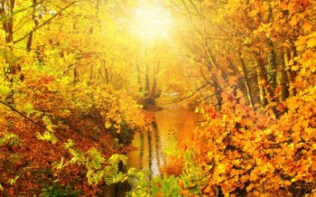 美丽秋天湖泊风景win7壁纸