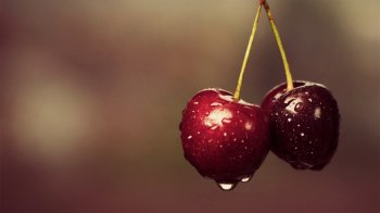 精选电脑桌面壁纸樱桃高清图片