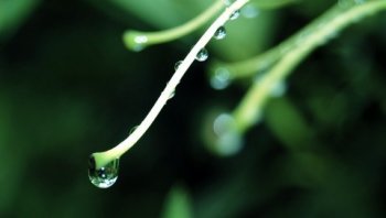 护眼之晶莹水珠