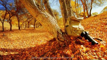 坝上秋色风光摄影作品