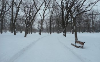 公园美景超大壁纸