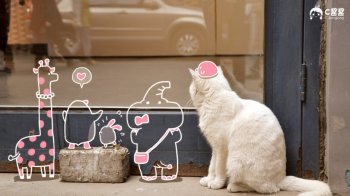 恶搞喵星人 C酱酱 猫宽屏壁纸