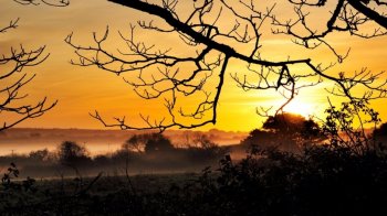 高清唯美夕阳剪影风景壁纸