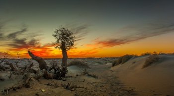 荒凉的沙漠风景图片