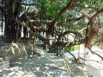 厦门游快乐旅拍