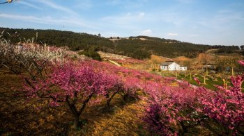 江苏张家港香山风景高清电脑桌面壁纸