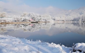 北京植物园雪景风光壁纸
