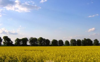 捷克的乡间田野桌面壁纸