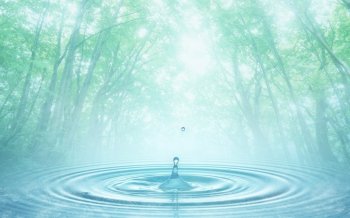 初夏的一抹阳光绿色护眼桌面高清壁纸2下载