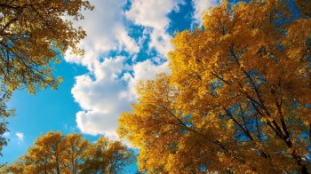 精选高清自然美景大图电脑桌面壁纸下载