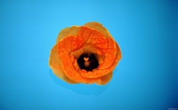 沙滩海边美景高清电脑壁纸