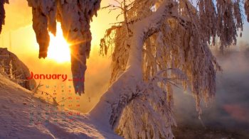 2015年1月冬日阳光雪景桌面壁纸