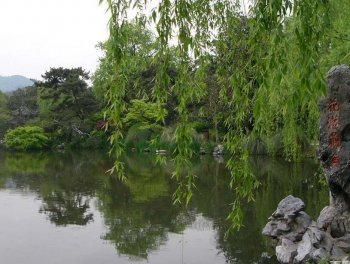 西湖花港观鱼图片  西湖十景分别是有哪些景点？