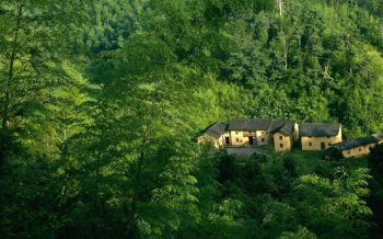 风景高清壁纸之森林深处