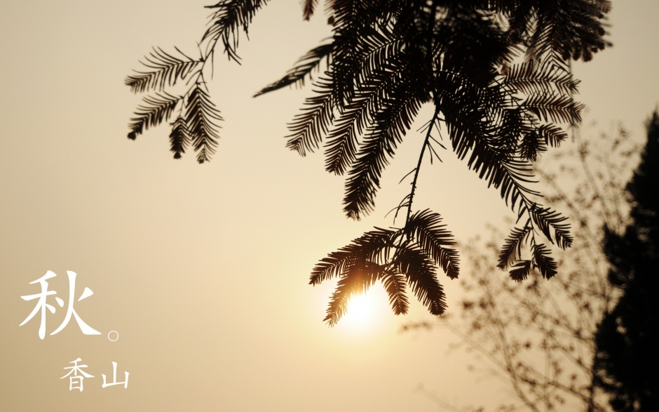 北京香山静宜园秋之红叶壁纸