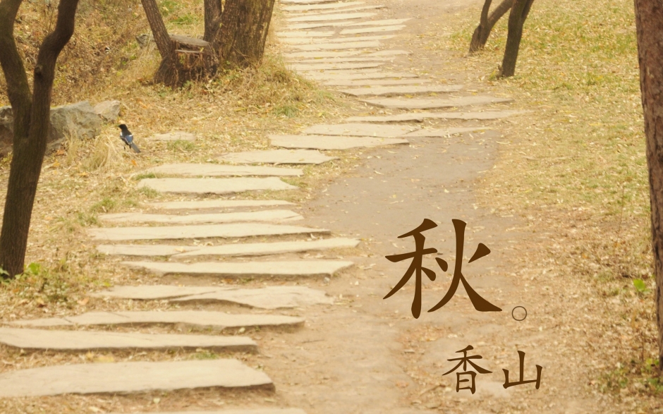 北京香山静宜园秋之红叶壁纸