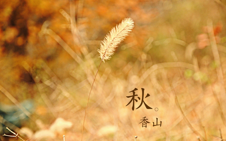 北京香山静宜园秋之红叶壁纸