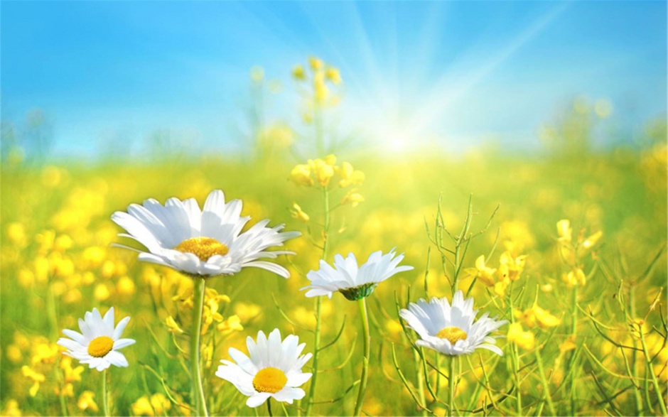 小清新自然风景桌面壁纸