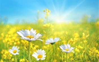 小清新自然风景桌面壁纸