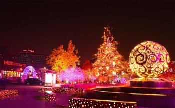 京城的梦幻之夜