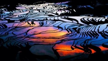 云南风光元阳梯田