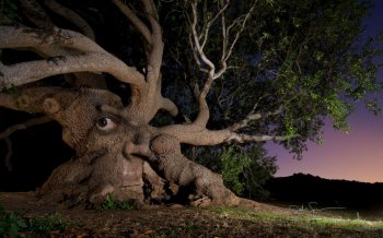 假象设计壁纸下载1