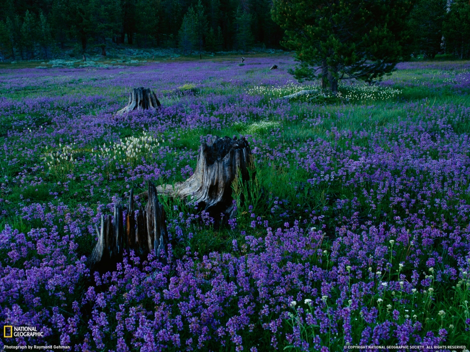 美丽精选自然风光壁纸