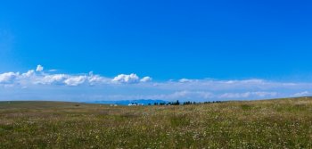 一望无际的绿色草原图片