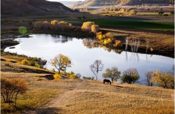 蛤蟆坝摄影图片