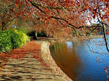 唯美秋季湖边风景电脑桌面壁纸下载