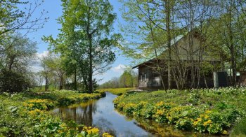 清新绿色风景桌面壁纸下载