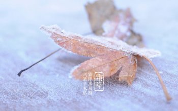 24节气霜降 雪景高清节气壁纸