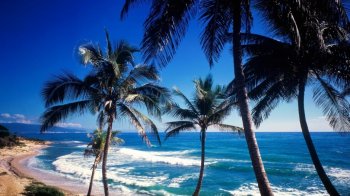 美丽海滨蓝色风光桌面壁纸