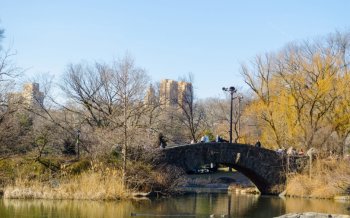 深秋时节纽约中央公园自然风景图片桌面壁纸
