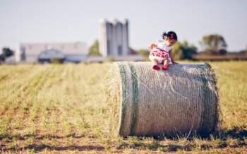 草垛子高清风景高清电脑桌面壁纸