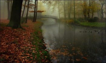 领略你所看不到的自然美景