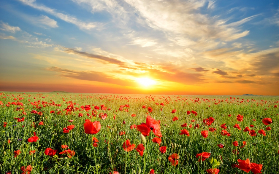 小清新大自然风景高清图片桌面壁纸