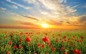 小清新大自然风景高清图片桌面壁纸