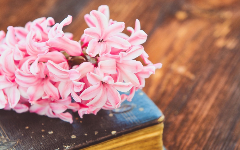 清新浪漫唯美风景图片大全