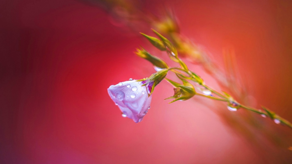 清新浪漫唯美风景图片大全