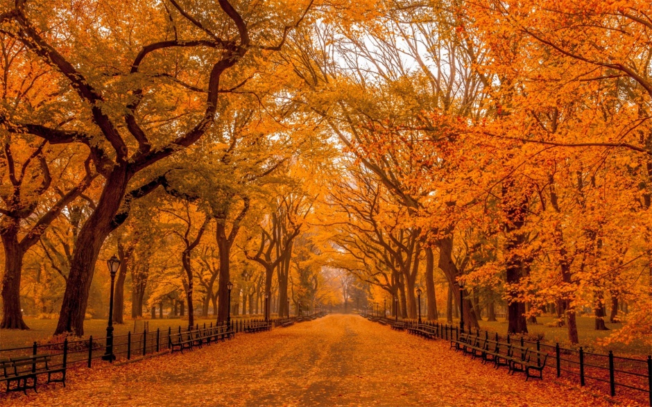 秋天山林优美风景图片鉴赏