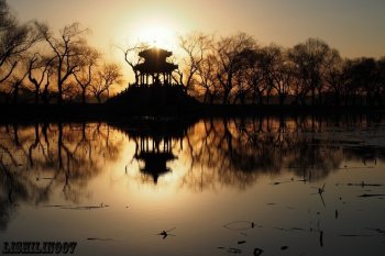 颐和园随拍晨光