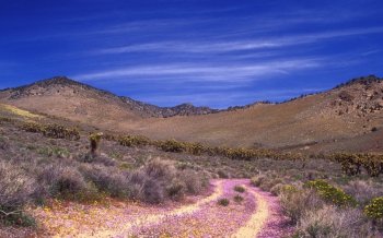 田园景色唯美电脑桌面壁纸下载