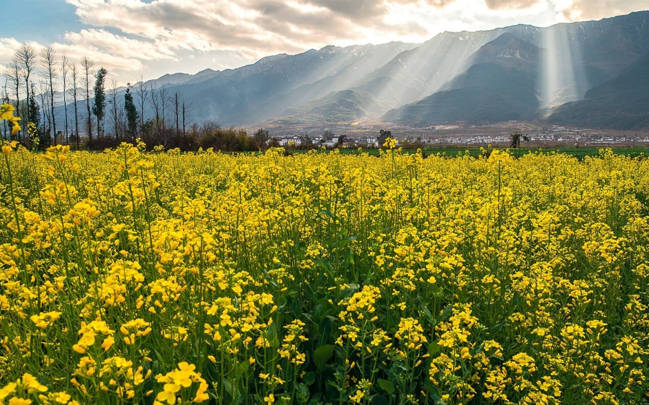 云南大理图片主题下载