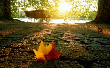 静享湖边美景桌面壁纸