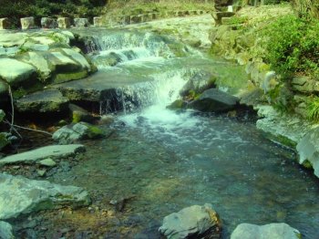 清新恬淡意境溪水图片大全