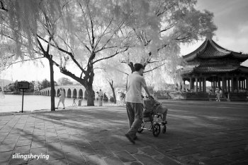 @【拍不够的颐和园——随拍】