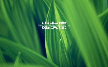 处女座唯美语录高清桌面壁纸下载5